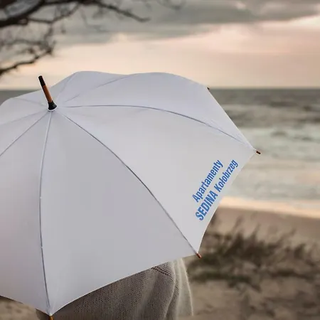 Sedina E306 Park Polanki