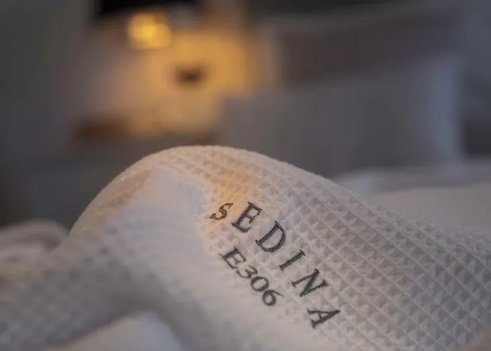 Sedina E306 Park Polanki